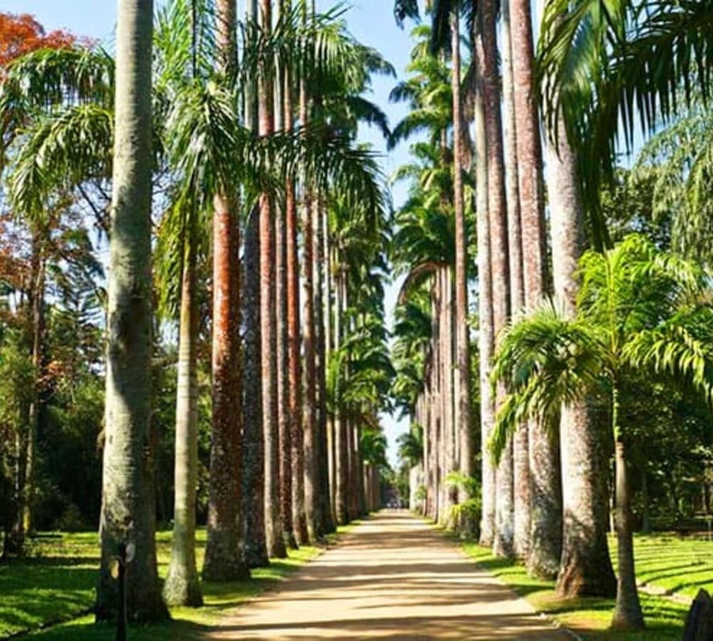 jardim-botanico-bait